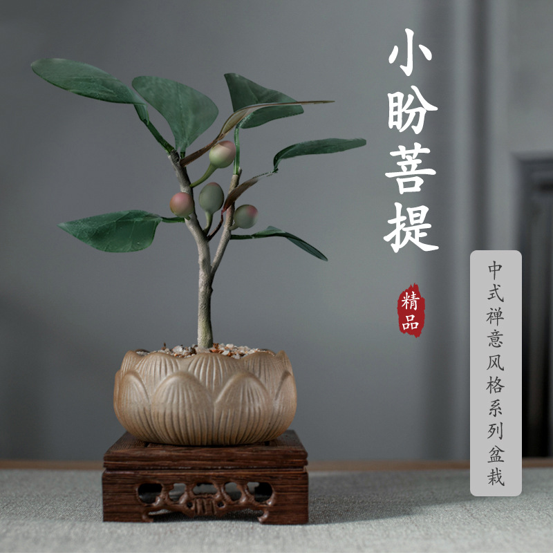 禅意小盼菩提盆栽植物室内花四季客厅观叶办公室绿植好养活盆景树