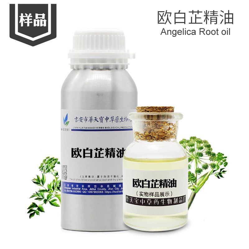 样品5ml 欧白芷精油 欧白芷根精油 angelica root 天然单方精油