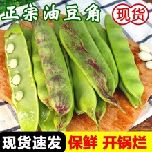 油豆角东北新鲜蔬菜当季一点红开锅烂大宽扁豆九月青黑龙江速卖通