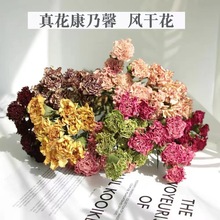 云南康乃馨干花 母亲节圣诞节礼物干花花束 康乃馨花束批发