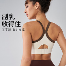 新款高强度一体式运动内衣女防震聚拢美背瑜伽服运动文胸健身背心