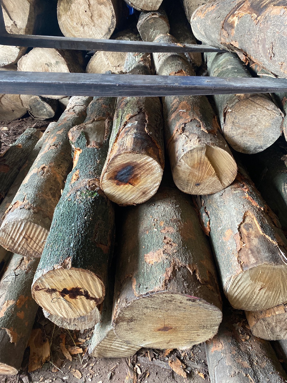 厂家批发家具实木板原料 兰木板材 原木板料 建筑木材兰木