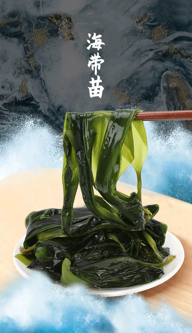 福建霞浦金海洋海带盐渍鲜嫩海带苗 非即食5kg装火锅食材厂家直售