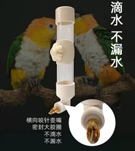 鹦鹉撞针自动饮水器 和尚 灰机 葵花 金刚中大小型水杯 挂式水壶