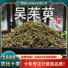 吴茱萸中药材茱萸吴朱萸茱萸花中花足贴肉桂贴颗粒儿粉汤童泡脚包