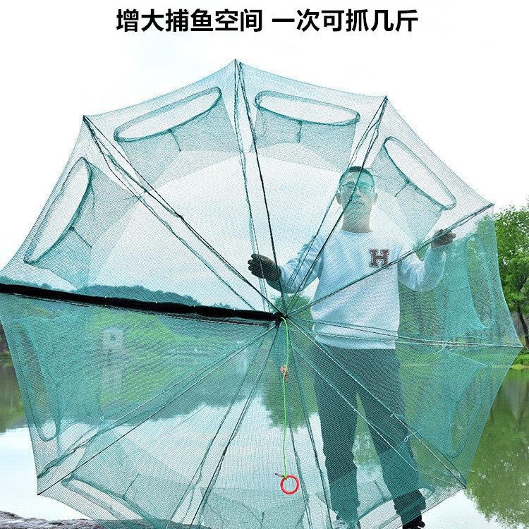 扇型鱼笼虾笼鱼网渔网折叠捕虾网捕鱼笼龙虾网抓扑捉大鱼网兜