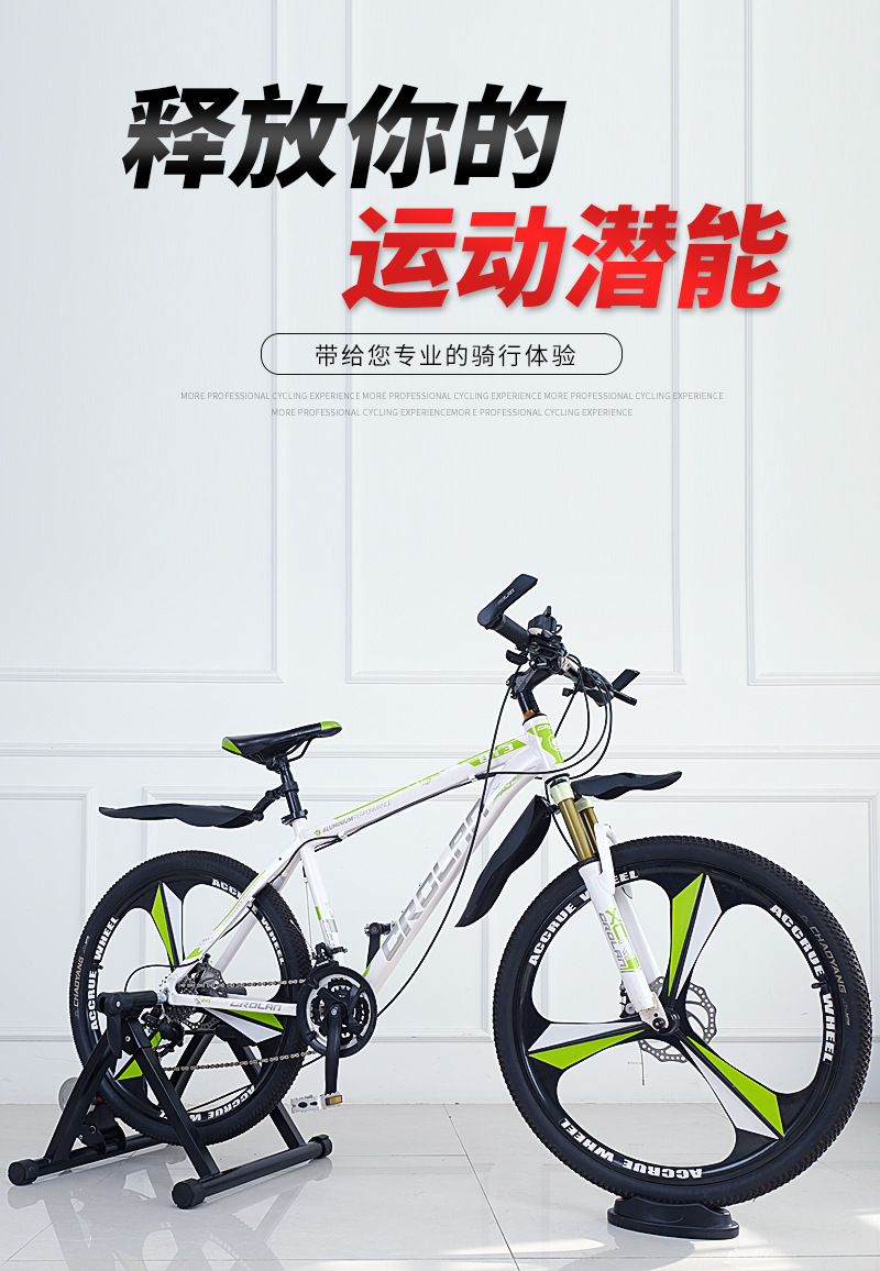 自行车山地车公路车训练台磁组室内健身骑行台_邢台那罗辛哈自行车
