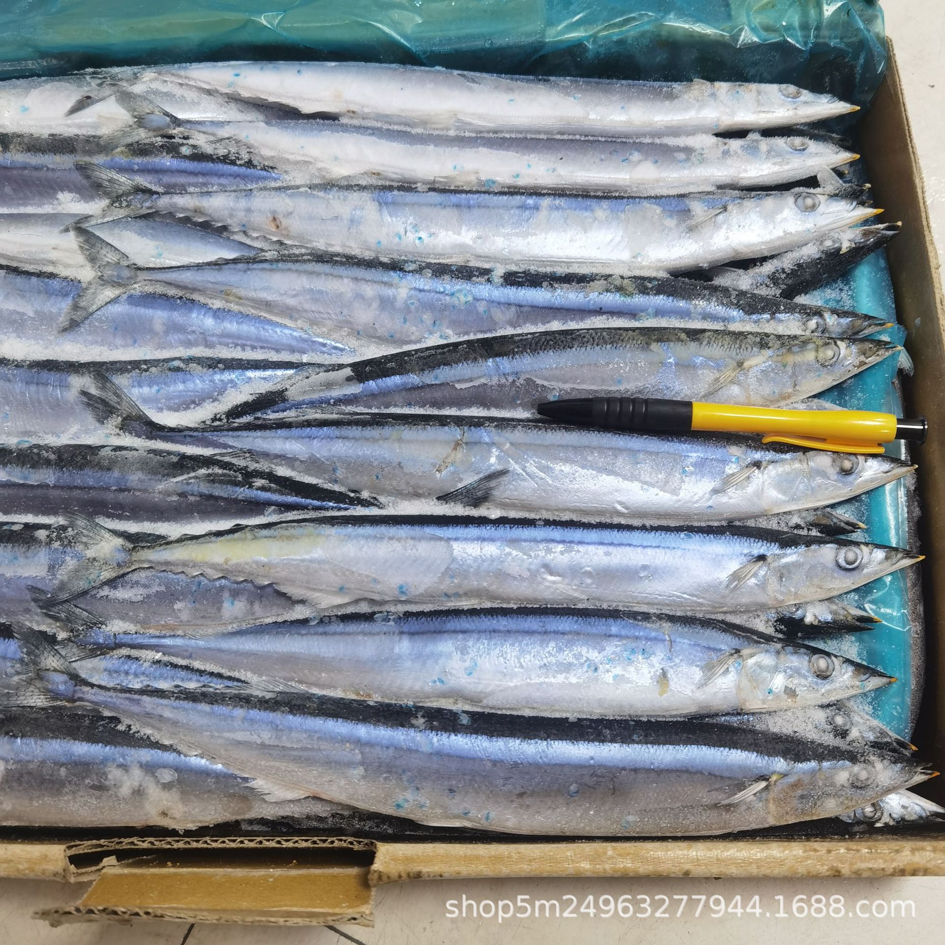 2号烧烤串串秋刀鱼 干冰烧烤食材 新鲜腌制竹竿鱼深海秋刀鱼-阿里巴巴