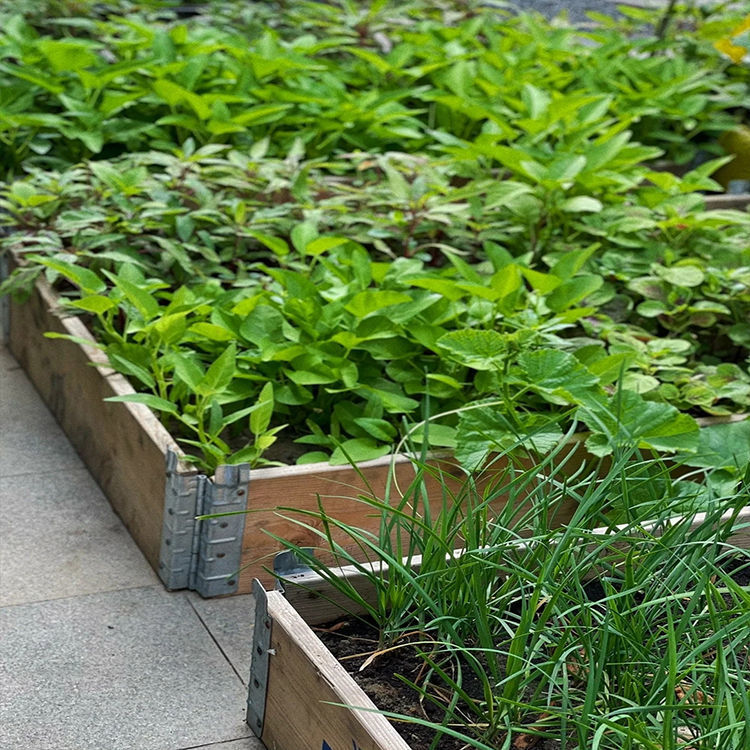木质种植箱一米菜园蔬菜种植箱户外庭院别墅阳台花园家用楼顶花箱
