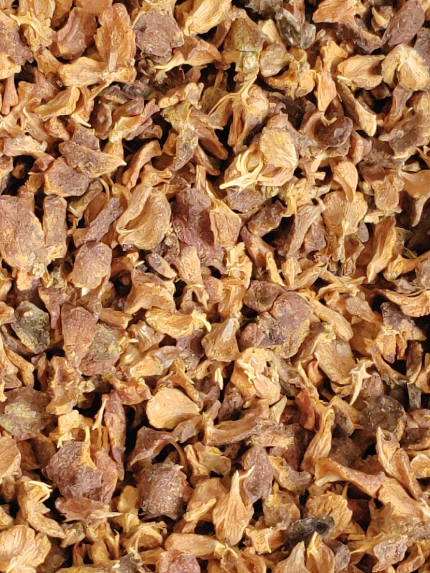 9la3产地新柏壳枕头黑发少白头护颈椎枕芯侧柏碎柏壳籽柏子壳