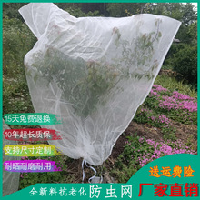 【防虫防鸟网罩】水果套茶青袋蔬菜水果树绿植花卉防蚊虫果蝇针蜂