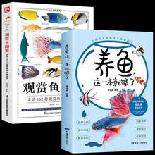 2册观赏鱼图鉴养鱼,这一本就够了海洋生物养殖鱼类科普百科图鉴厂