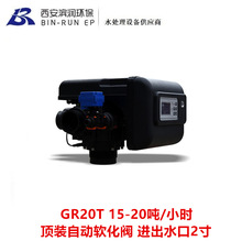 洁源GR20T 15-20T/H顶装大流量自动软化阀 进出水口2寸中心管φ50