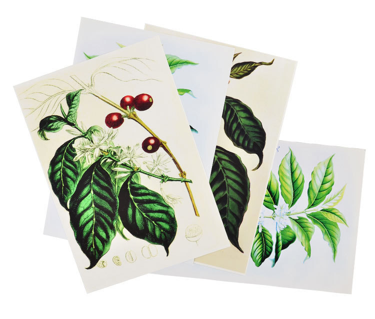 咖啡装饰画咖啡厅展示挂件咖啡树挂件装饰品