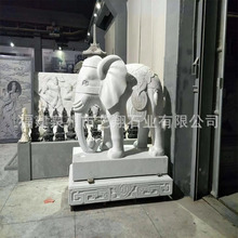 定制石雕大象 正对汉白玉石象 花岗岩雕刻象 吉祥动物雕刻加工