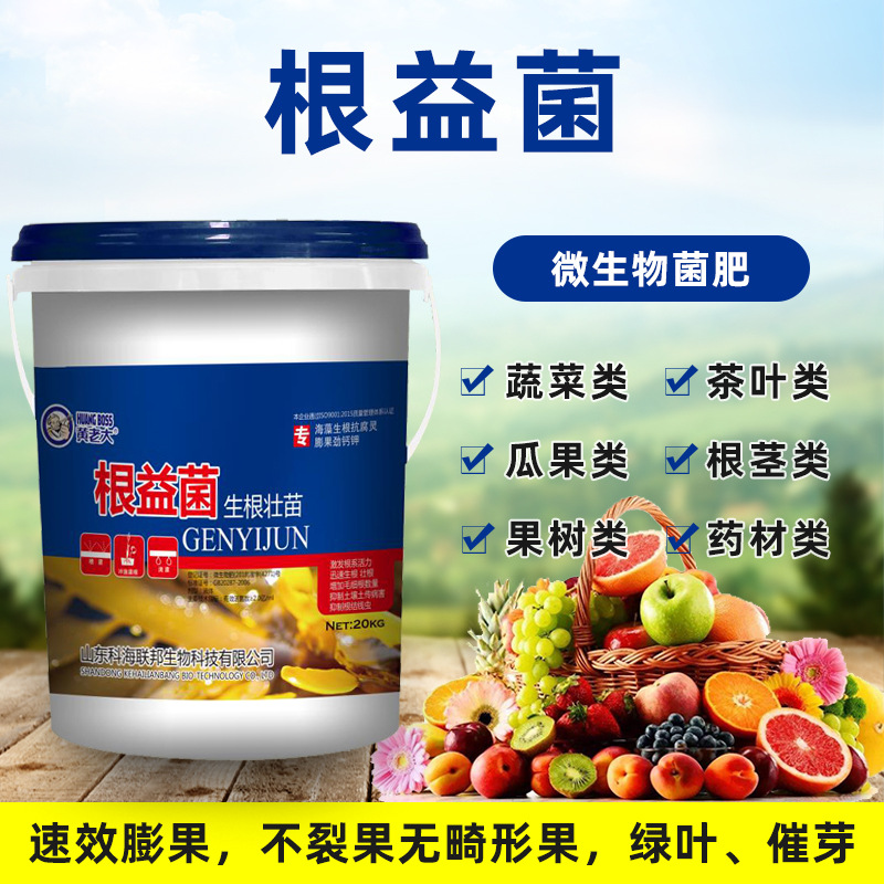 菌肥复合肥微生物菌剂冲施肥水溶肥有益菌茶叶果树药材肥料-阿里巴巴