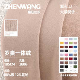 罗奥一体绒面料 涤氨弹力摇粒绒加绒布料 秋冬保暖卫衣打底针织布