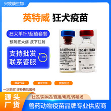 狂犬狗疫苗英特威宠必威宠物防疫猫咪荷兰进口育苗狂犬病预防针