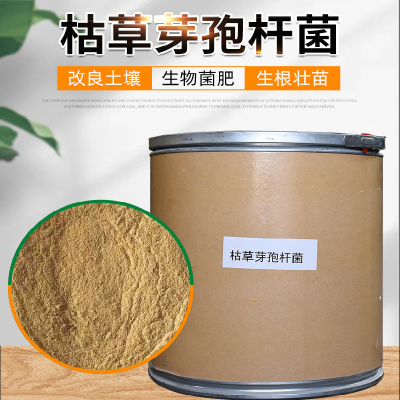 枯草芽孢杆菌活菌