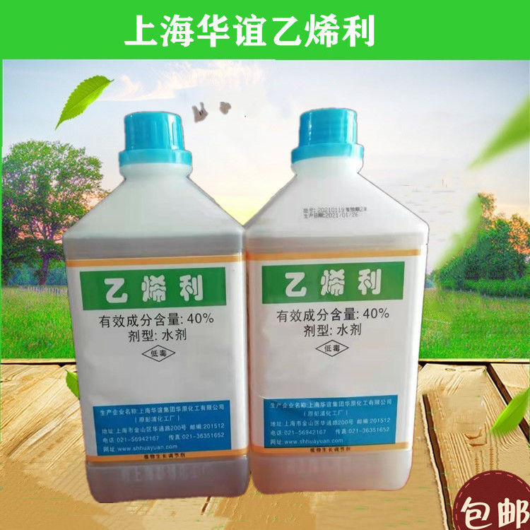 上海华谊40%乙稀利水稻番茄香蕉烟草柿子棉花催熟水稻