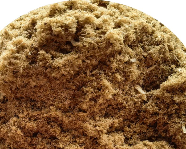 鸡肉粉饲料级鸡肉粉厂家供货量大价优饲料添加鸡肉粉