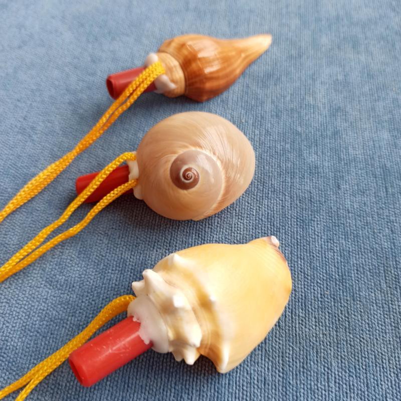 天然海螺号角可吹喇叭口哨超大海螺贝壳哨子儿童玩具哨小螺号吹响