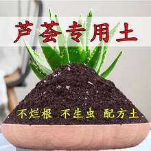 芦荟专用营养土有机种菜土壤家用多肉绿萝草炭土通用型花土泥土肥