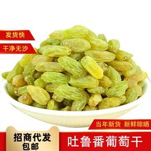 代发新疆特产白葡萄干大量批发500g 新货吐鲁番无核提子葡萄干