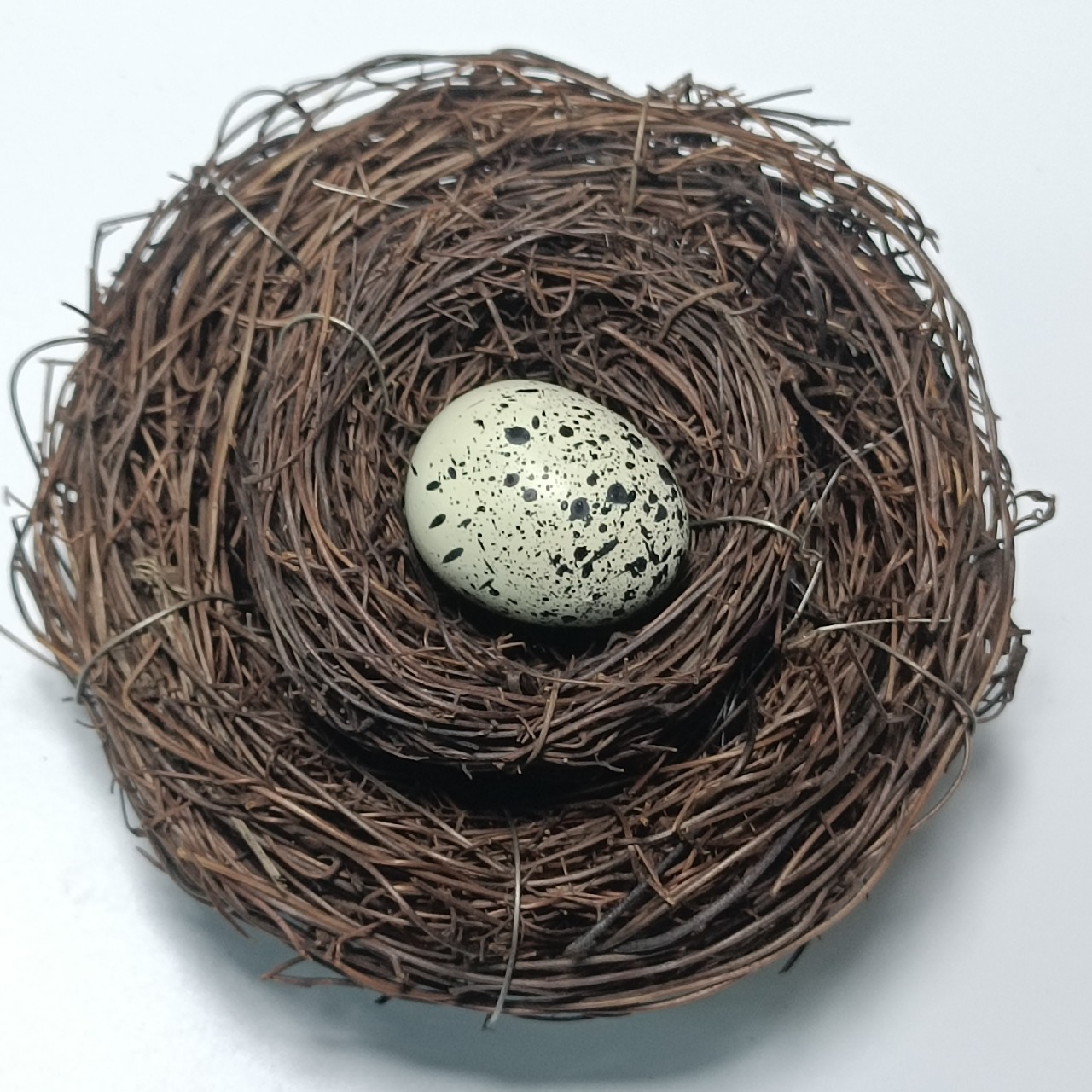 草编小鸟窝鸟巢树藤手工藤条鸟用具工艺品户外悬挂树鸟住保暖草窝