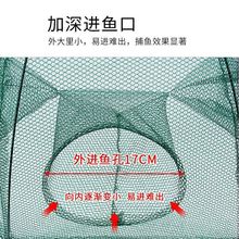 虾笼鱼网伞网伞笼折叠鱼笼捕虾网螃蟹笼黄鳝笼渔网捕鱼虾网泥鳅笼