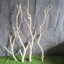 干树枝原木杈艺术干枝枯枝枯木树干鸟架造型壁挂衣架吊顶树枝装饰