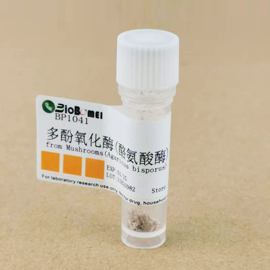 酪氨酸酶 / 多酚氧化酶 ≥500u/mg 科研实验试剂cas:9002