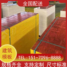 建筑模板工地用木方竹胶板红模板覆膜板工程木板防水多层胶合板