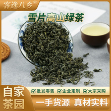 雪片清香高山绿茶500g广东上八乡山自有茶园直销散装批发