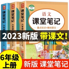 2023新版六年级上册课堂笔记语文数学英语全套人教版六上同步课本