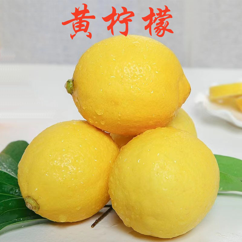 四川安岳黄柠檬新鲜应季水果尤力克柠檬非海南青柠檬批发一件代发