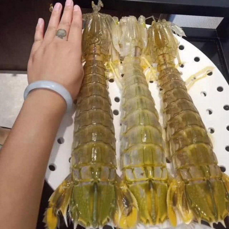 皮皮虾富贵虾特大鲜活速冻冷冻水产活冻琵琶虾濑尿虾大虾蛄亚马逊