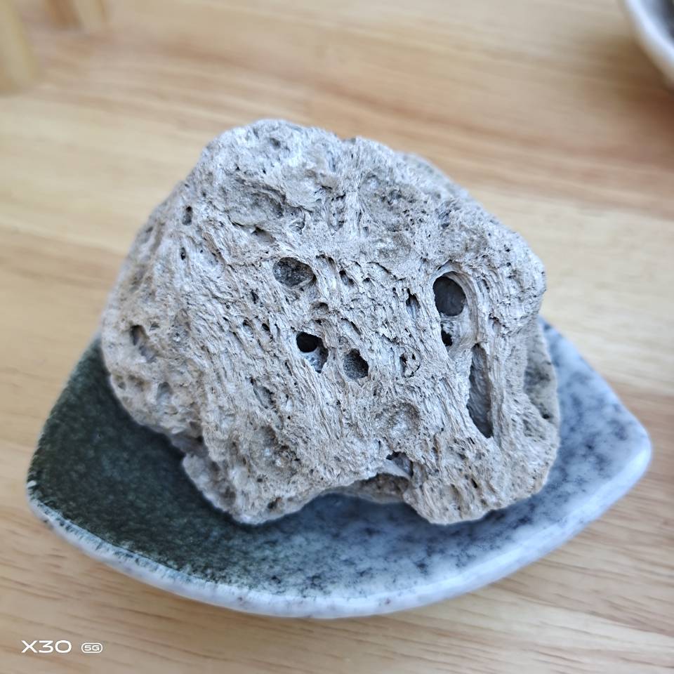 现货供应5-8㎝轻石 水陆鱼缸造景白色浮石 装饰用大块轻石 浮石