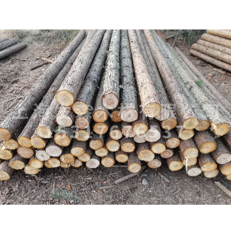 4米杉木桩打桩木原木防汛木桩 园林绿化支撑杆 3米杉木杆厂家直销