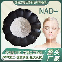 NAD+99%  β-烟酰胺腺嘌呤二核苷酸 53-84-9 辅酶Ⅰ 多规格批发