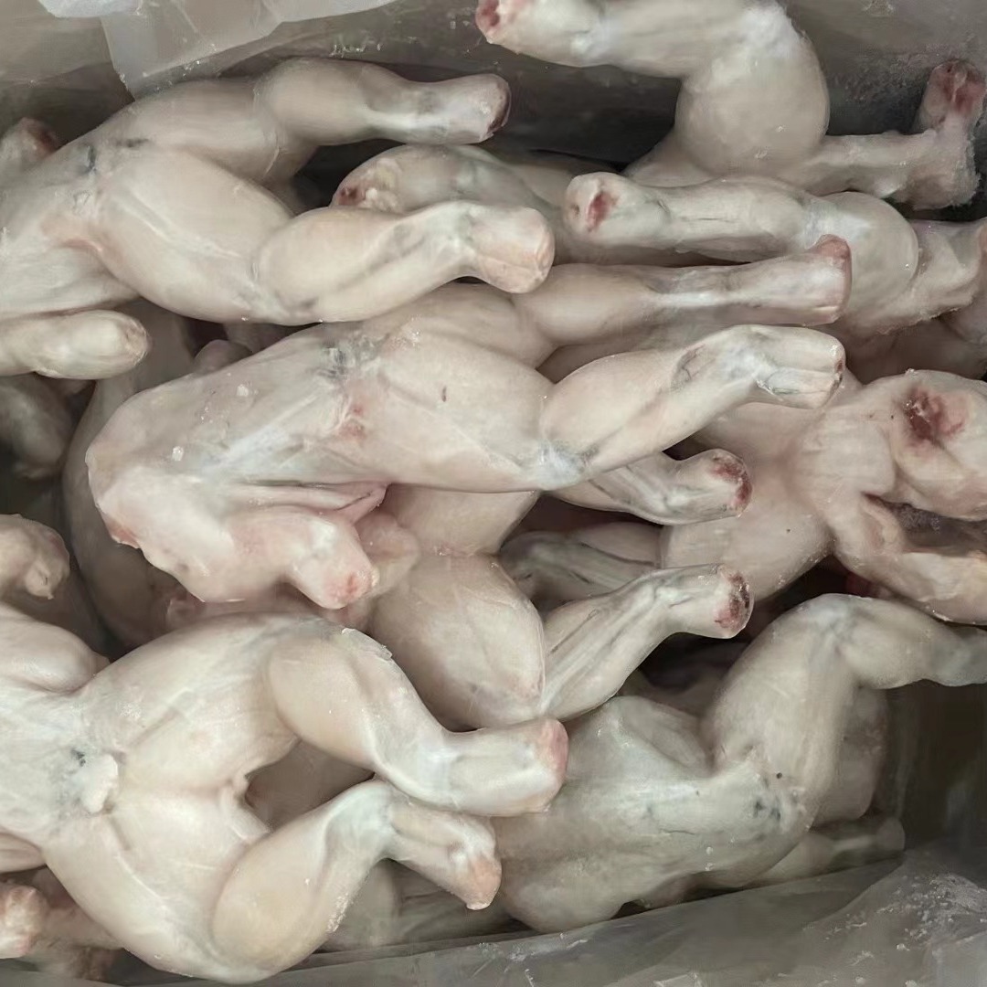 牛蛙田鸡干锅麻辣湘菜川菜大排档姜葱炒-阿里巴巴