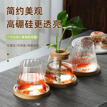 创意水培植物花瓶摆件办公桌面火山款透明玻璃带盖花瓶绿萝水培罐