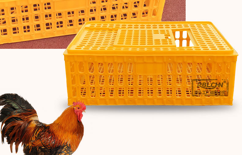 塑料鸡笼10斤大号家禽周转箱长方形鸡鸭运输笼鸡框鸽子用品蛋鸡笼