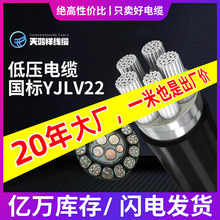 4*120+1*70铝芯电线 铝芯低压电缆YJLV22 阻燃性好PVC材质电线