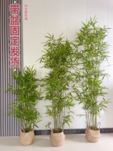 迪仕凯仿生竹子装饰客厅茶室专用新中式假竹子仿真植物盆栽仿真竹
