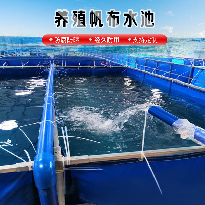 帆布鱼池防水布锦鲤加厚大型塑料支架折叠刀刮布养鱼水池养殖池￥108