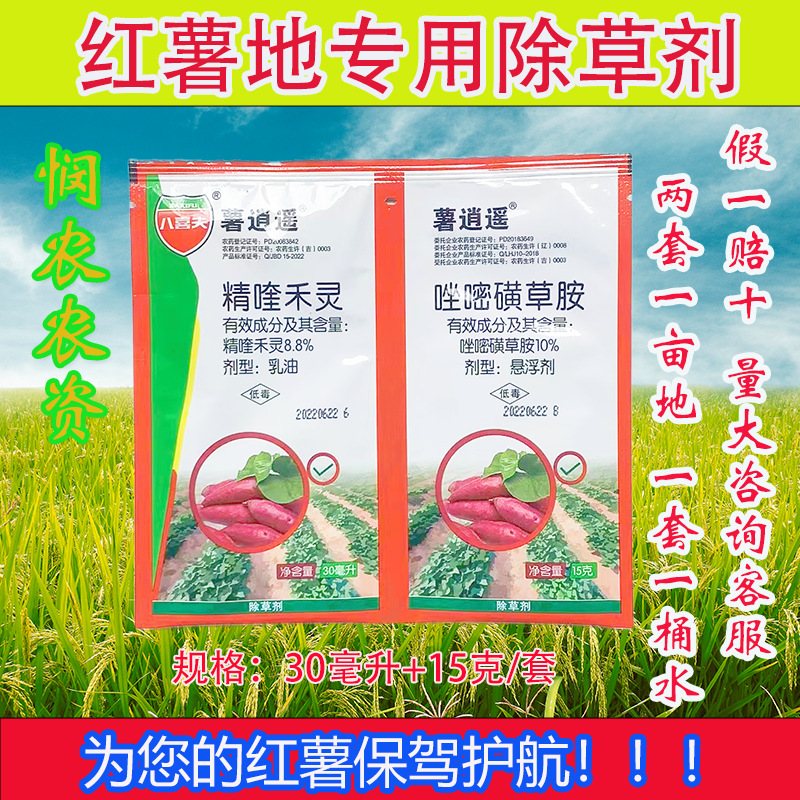 红薯地专用除草剂红薯苗后除草剂红薯农药封杀禾阔双杀不伤苗正品