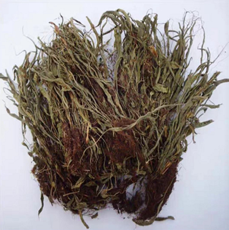 【马蹬草】 500克 过桥草 还阳草 马蹬草(500克)初级农产品