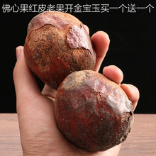 菩提果佛心果原籽老果百年佛心果原籽金包玉彩果灯芯冷门手串红皮