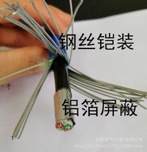 耐火钢丝缠绕铠装计算机电缆NH-DJYVP32 3芯0.75 1 1.5 2.5电缆线